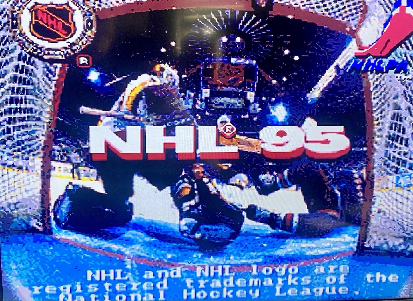 Sega Genesis 3 Game Lot Bundle Animaniacs, NHL 95, The Duel Test Drive II, Works