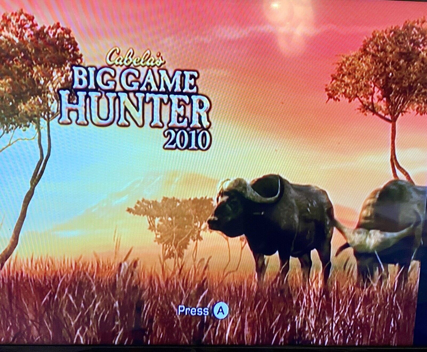 Cabela's Dangerous Hunts 2009 And Big Game Hunter 2010 Bundle (Nintendo Wii)