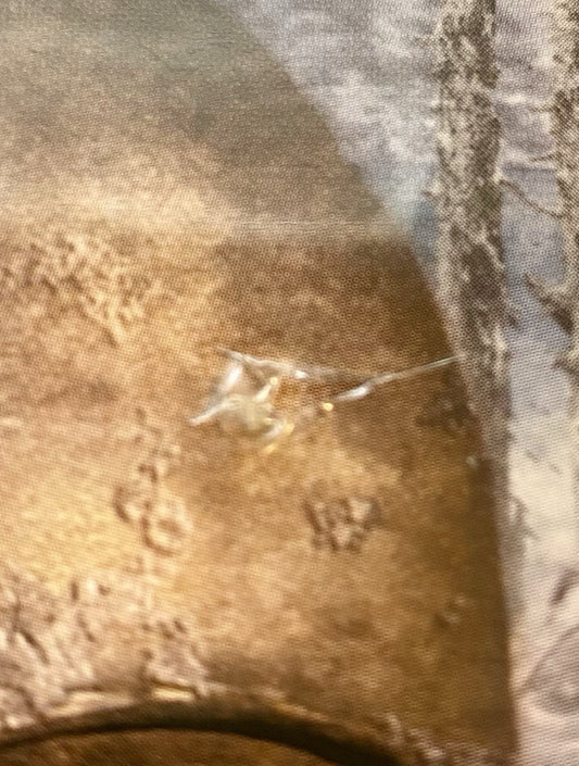 Medal Of Honor Frontline & Call Of Duty Finest Hour Bundle PlayStation 2 Tested