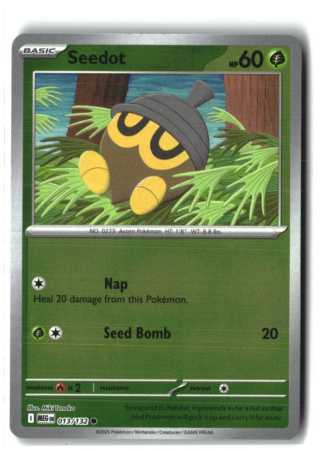 Seedot Reverse Holofoil NM (Mega Evolution 013/132)