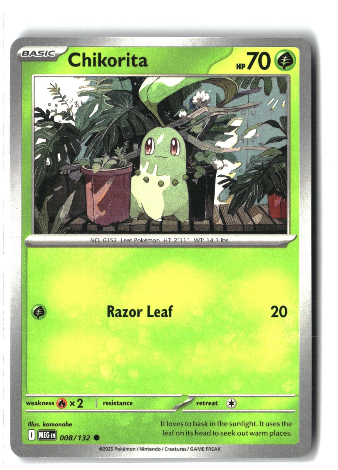 Chikorita (Mega Evolution 008/132) NM