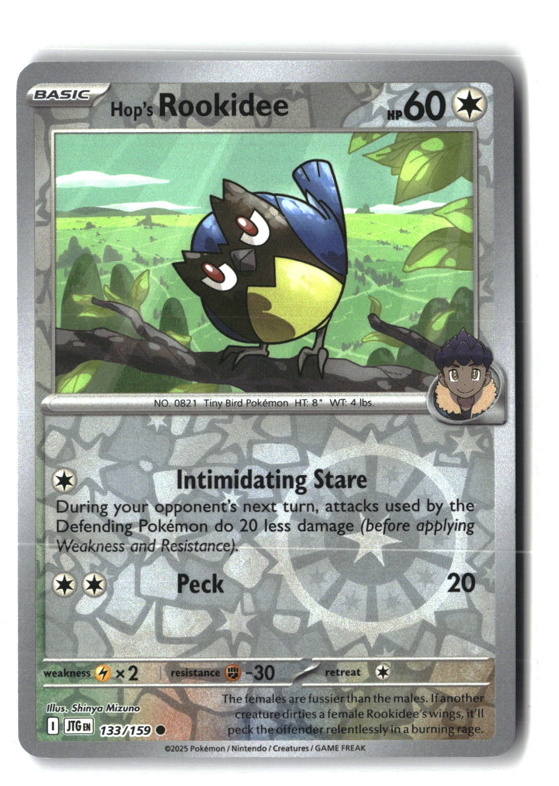 Hop's Rookidee Reverse Holofoil NM (Journey Together 133/159)