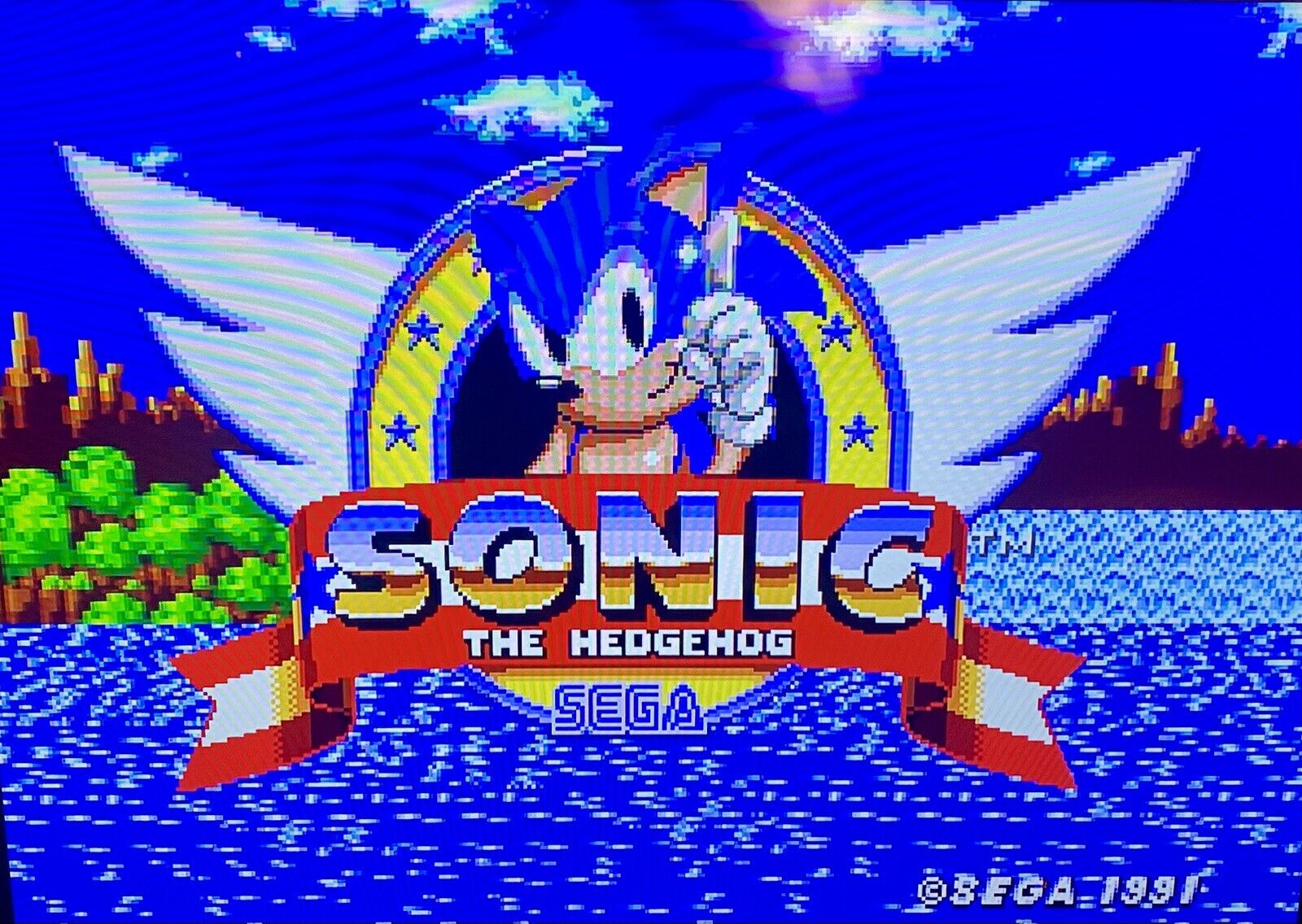 Sonic the Hedgehog (Sega Genesis, 1991) Authentic, Tested & Works, Cart Only