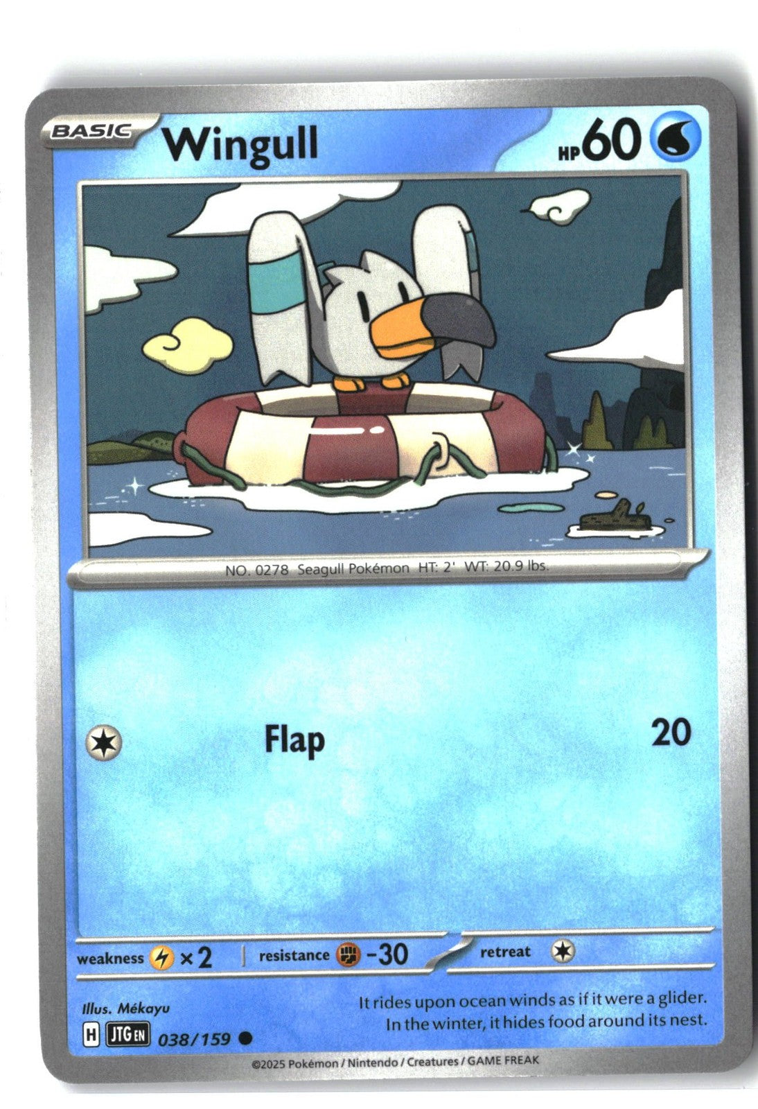 Wingull (Journey Together 038/159) NM