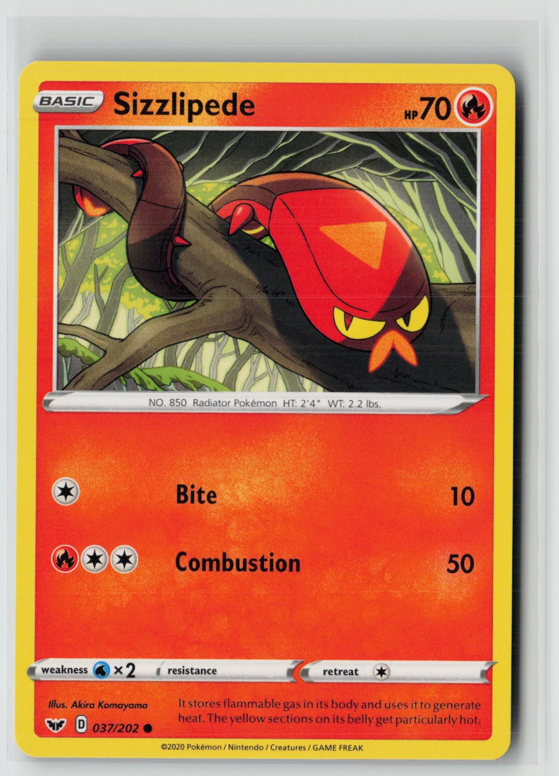 Sizzlipede (037) (SWSH01: Sword & Shield Base Set 037/202) NM