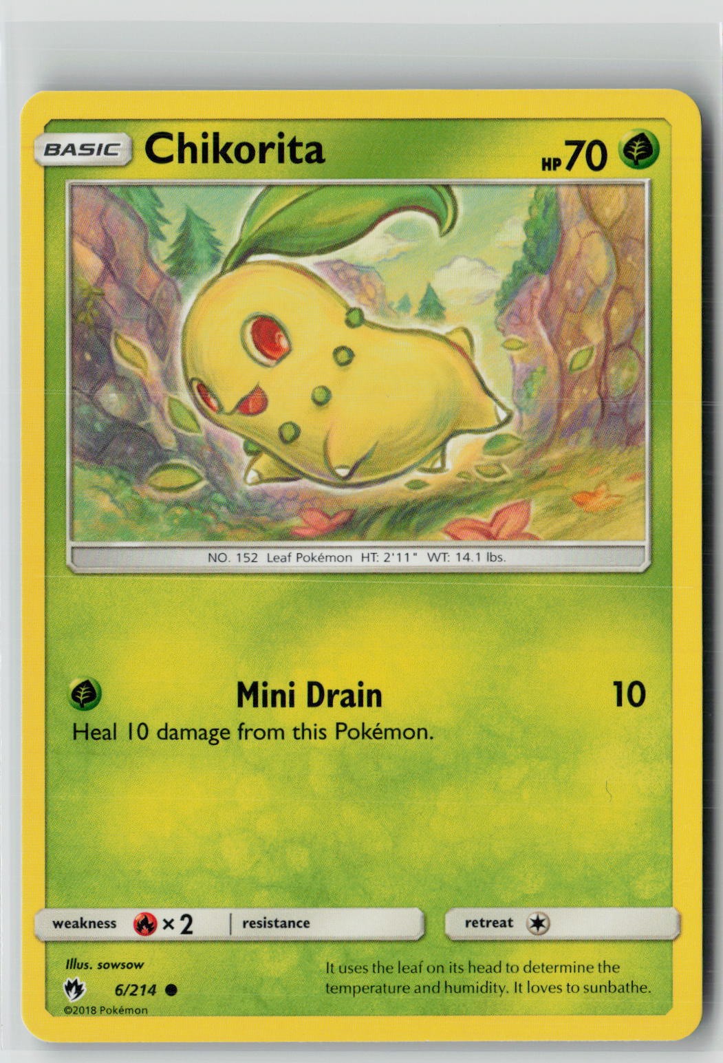 Chikorita (6) (SM - Lost Thunder 6/214) NM