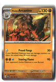 Hisuian Arcanine Holofoil NM (Twilight Masquerade 100/167)