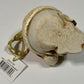 Design Toscano Skelly Claus II Holiday Skeleton Ornament