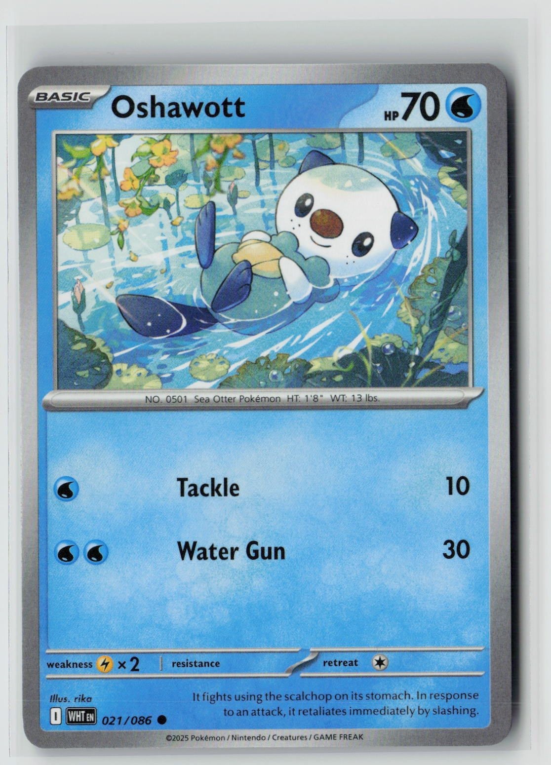 Oshawott (SV: White Flare 021/086) NM