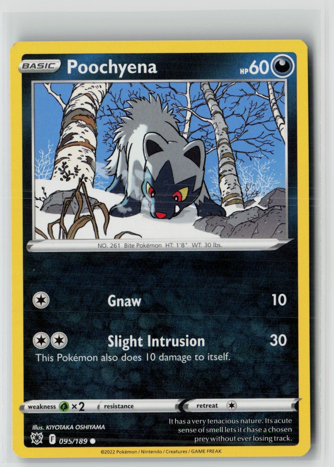 Poochyena (SWSH10: Astral Radiance 095/189) NM