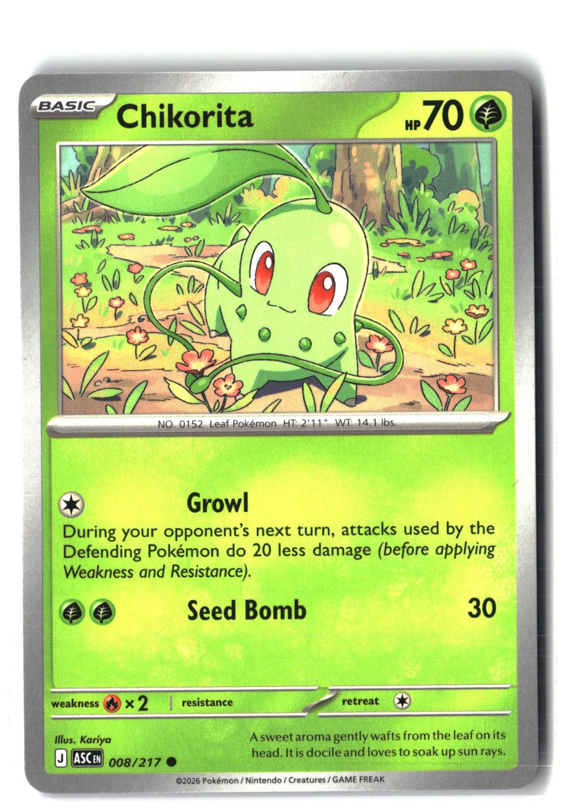 Chikorita (ME: Ascended Heroes 008/217) NM