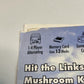 Mario Golf: Toadstool Tour (GameCube) Cover Art Only - No Game
