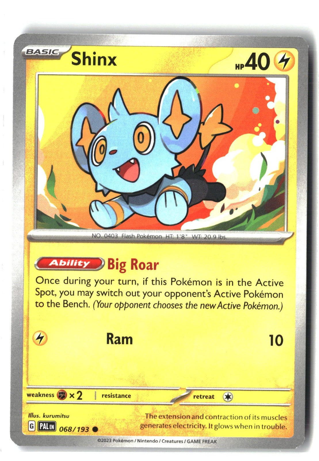 Shinx (Paldea Evolved 068/193) NM