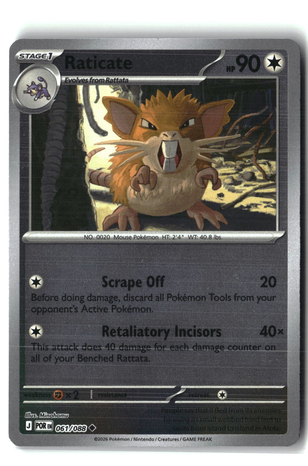 Raticate Reverse Holofoil NM (Perfect Order 061/088)