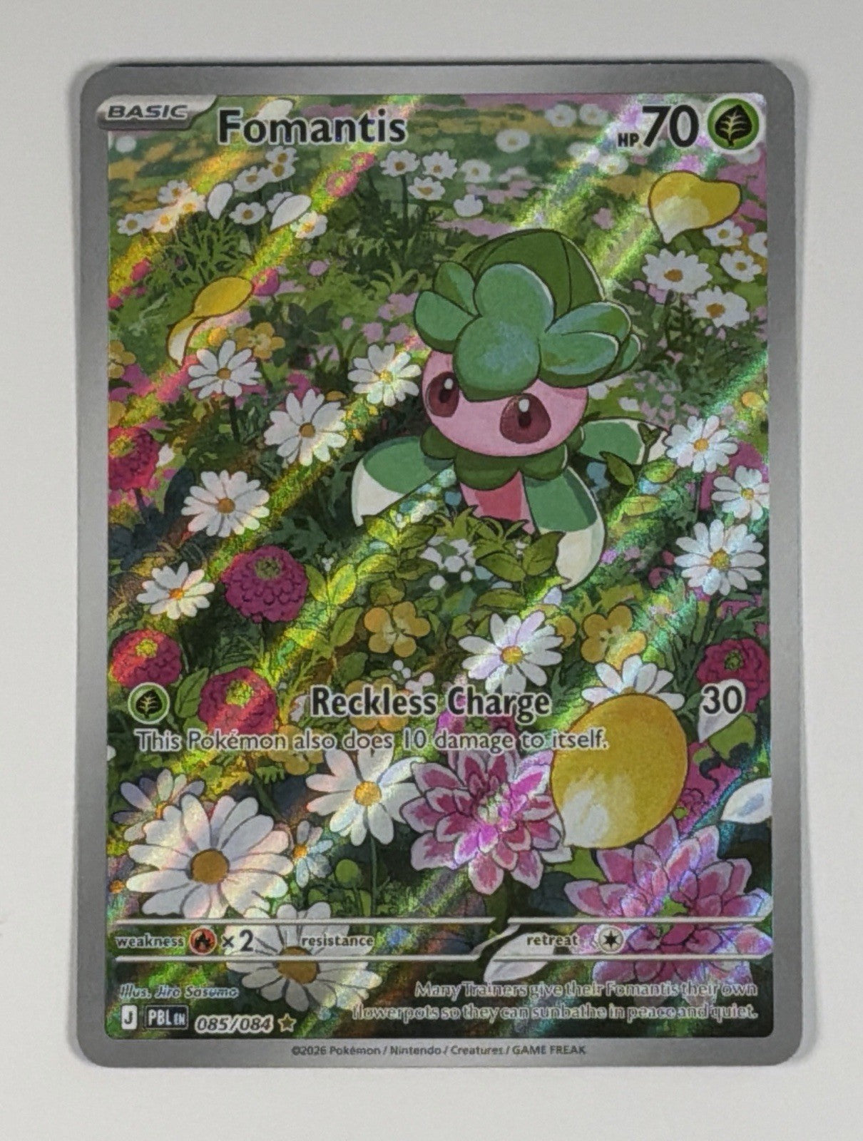 Pokemon TCG Fomantis 85/84 Pitch Black Illustration Rare Holo NM Near Mint