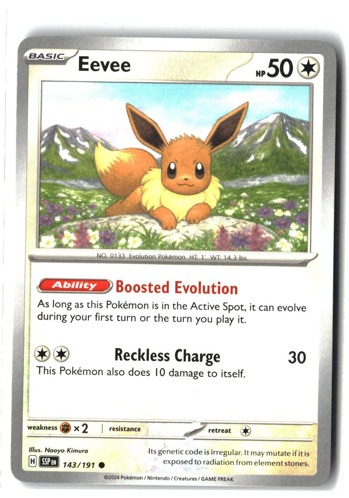 Eevee (Surging Sparks 143/191) NM
