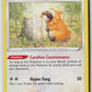 Bidoof (SWSH: Crown Zenith 111/159) NM