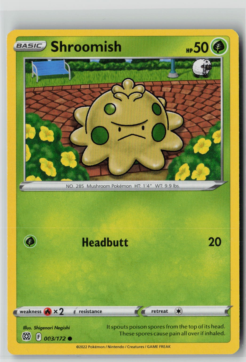 Shroomish (SWSH09: Brilliant Stars 003/172) NM