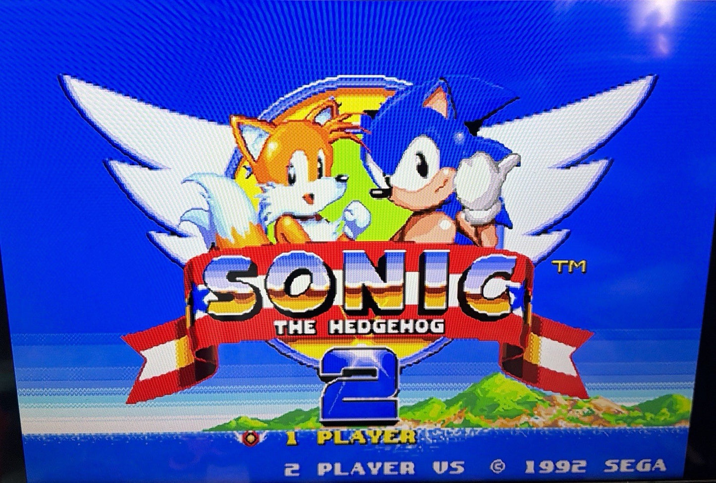 Sonic the Hedgehog 2 (Sega Genesis) Case & Cartridge, No Manual TESTED