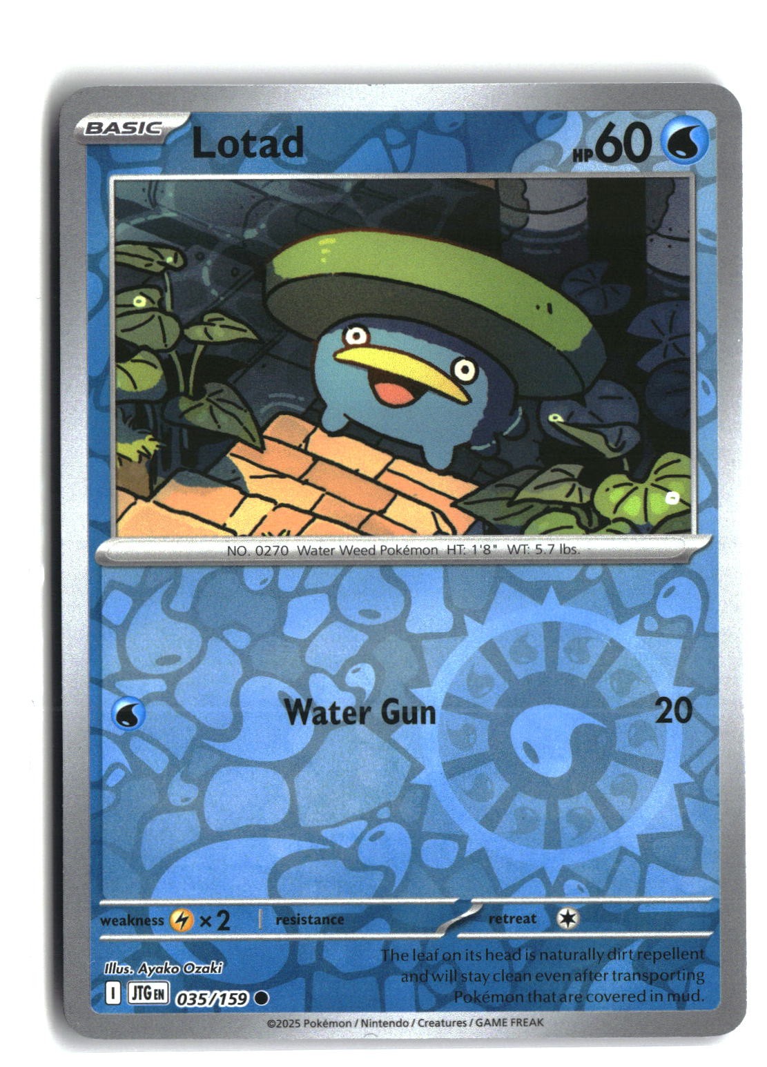 Lotad Reverse Holofoil NM (Journey Together 035/159)