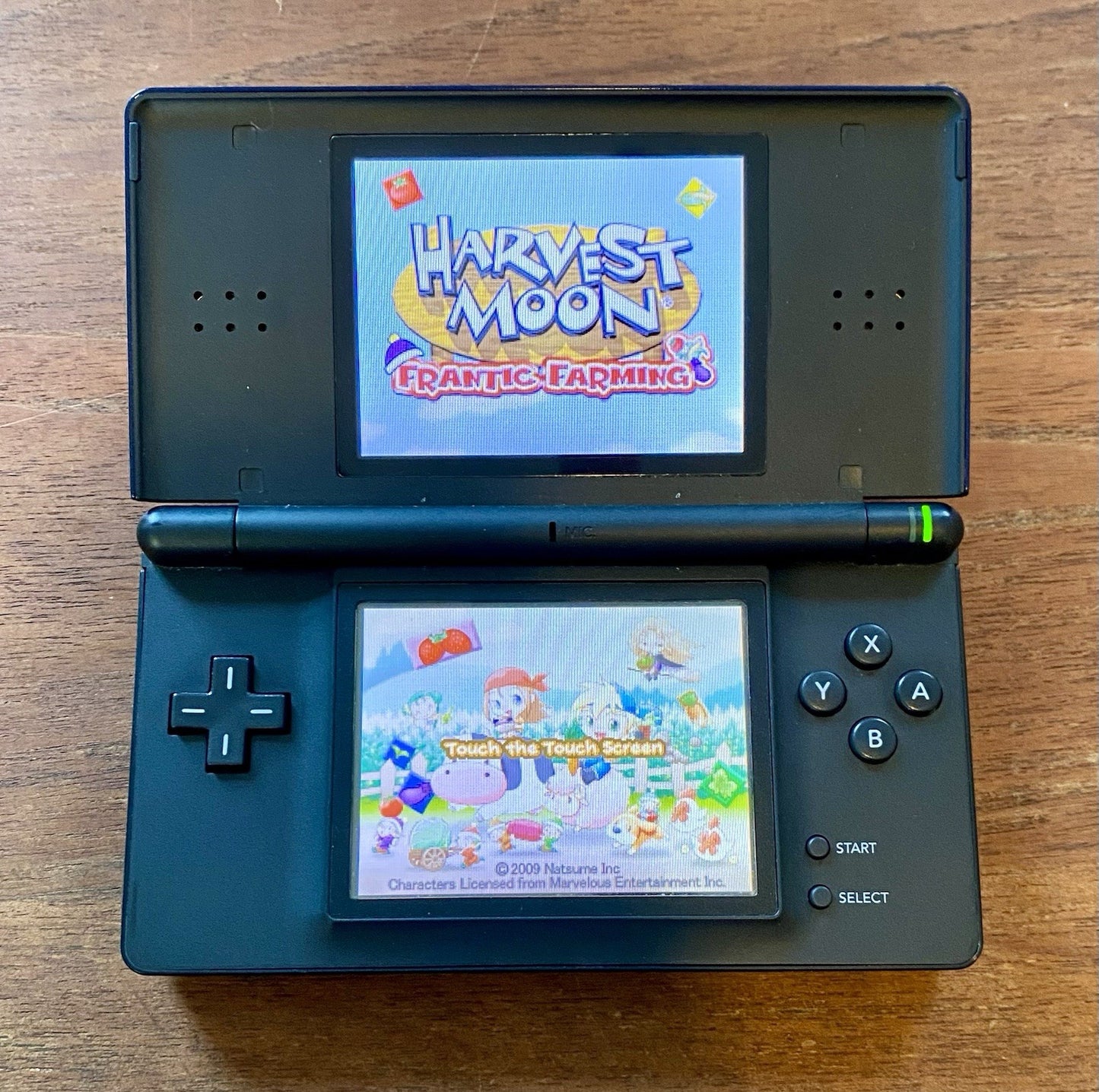 Harvest Moon Frantic Farming (Nintendo DS) Complete CIB W/ Manual & Reg Card