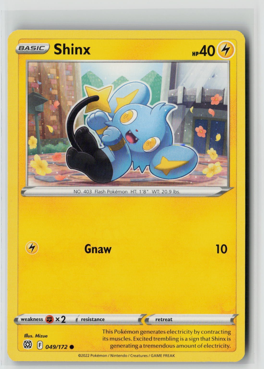 Shinx (SWSH09: Brilliant Stars 049/172) NM