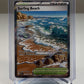Surfing Beach Holo 114/086 Ultra Rare Chaos Rising Pokemon TCG NM Near Mint