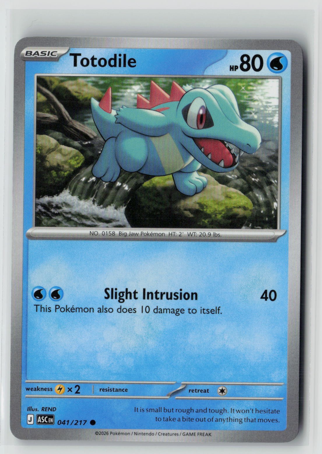 Totodile (ME: Ascended Heroes 041/217) NM