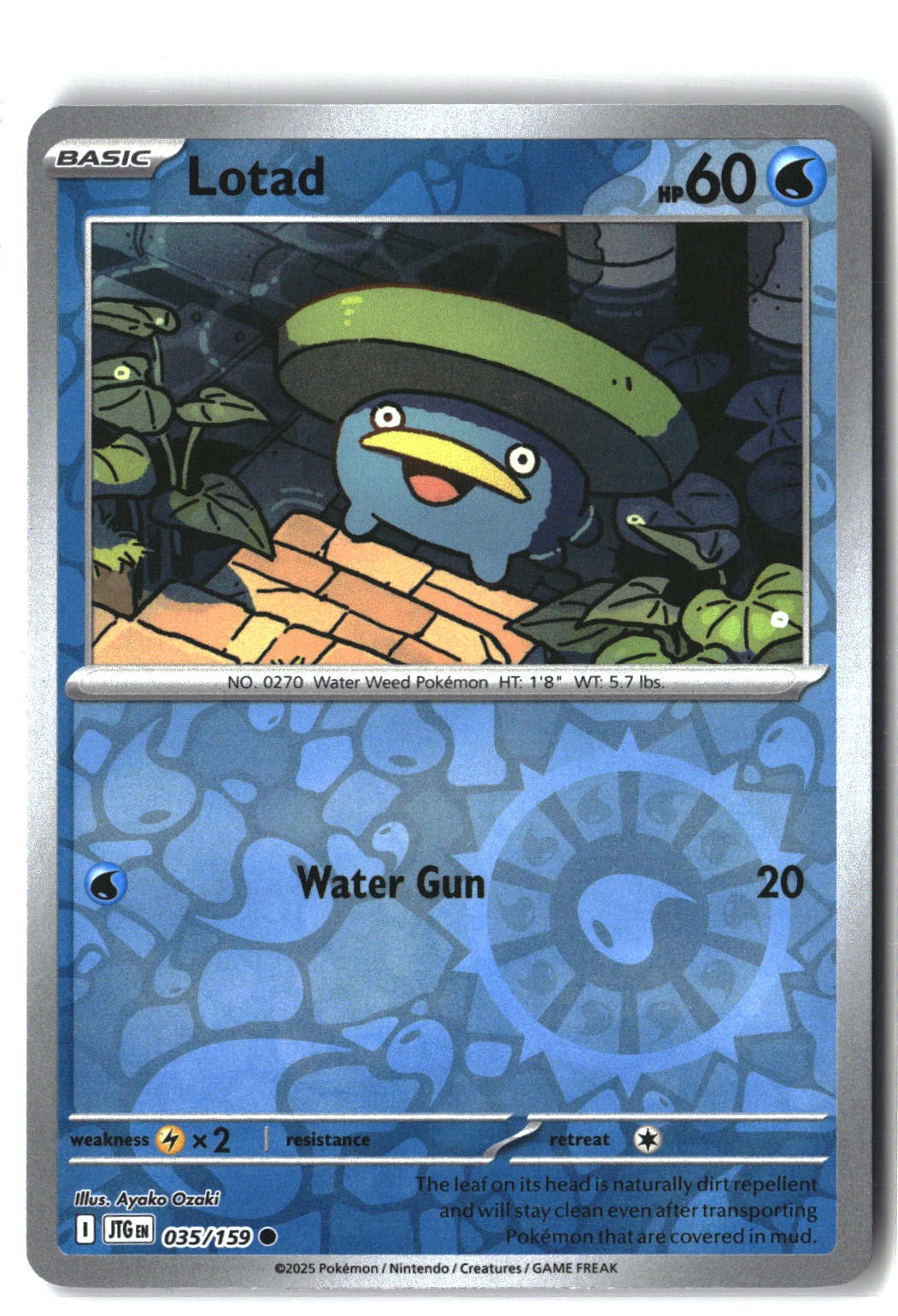 Lotad Reverse Holofoil NM (Journey Together 035/159)