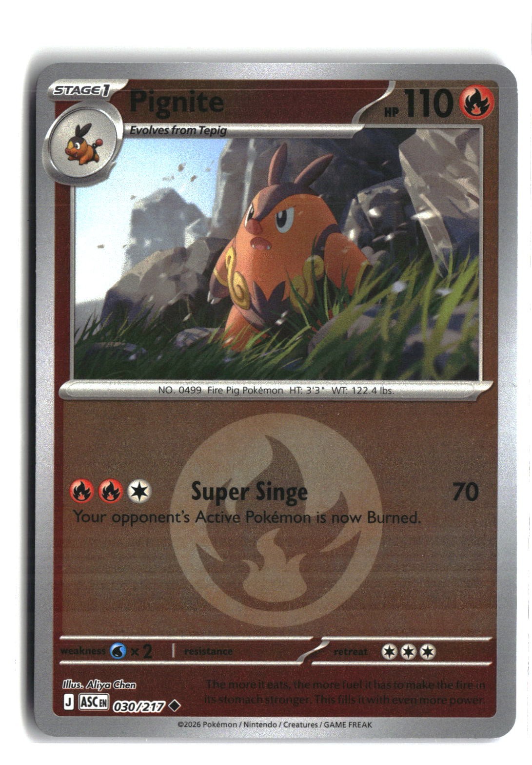 Pignite (Energy Symbol Pattern) Reverse Holofoil NM (ME: Ascended He... 030/217)