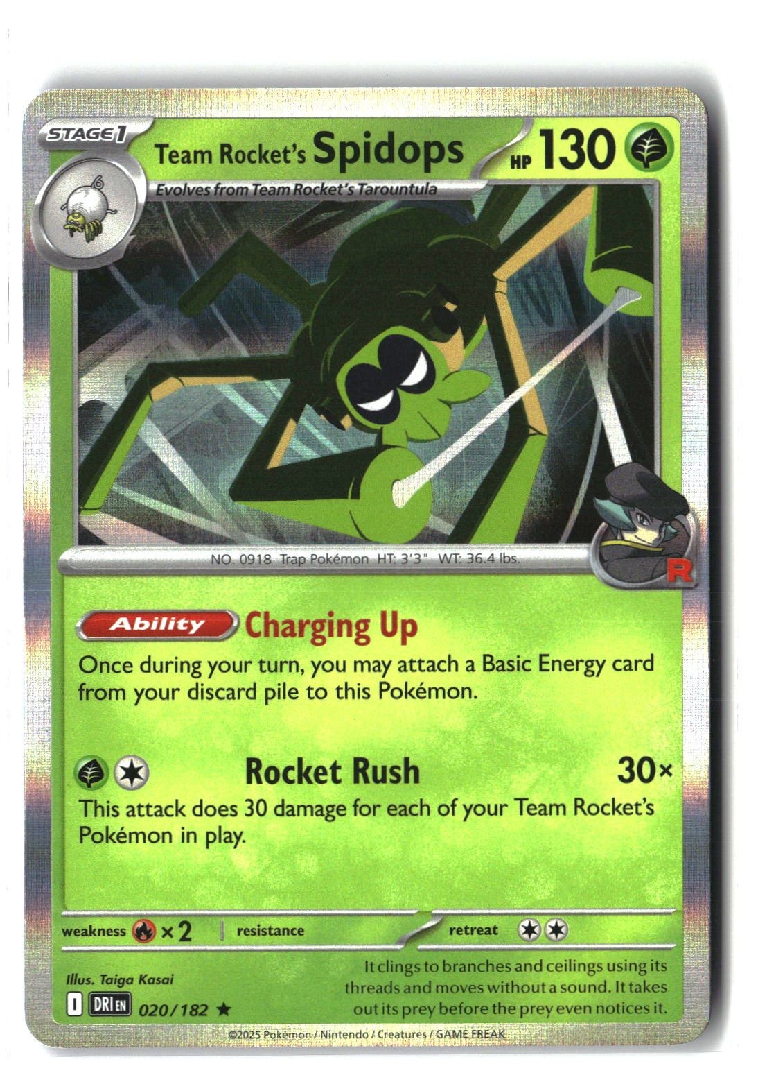 Team Rocket's Spidops Holofoil NM (Destined Rivals 020/182)