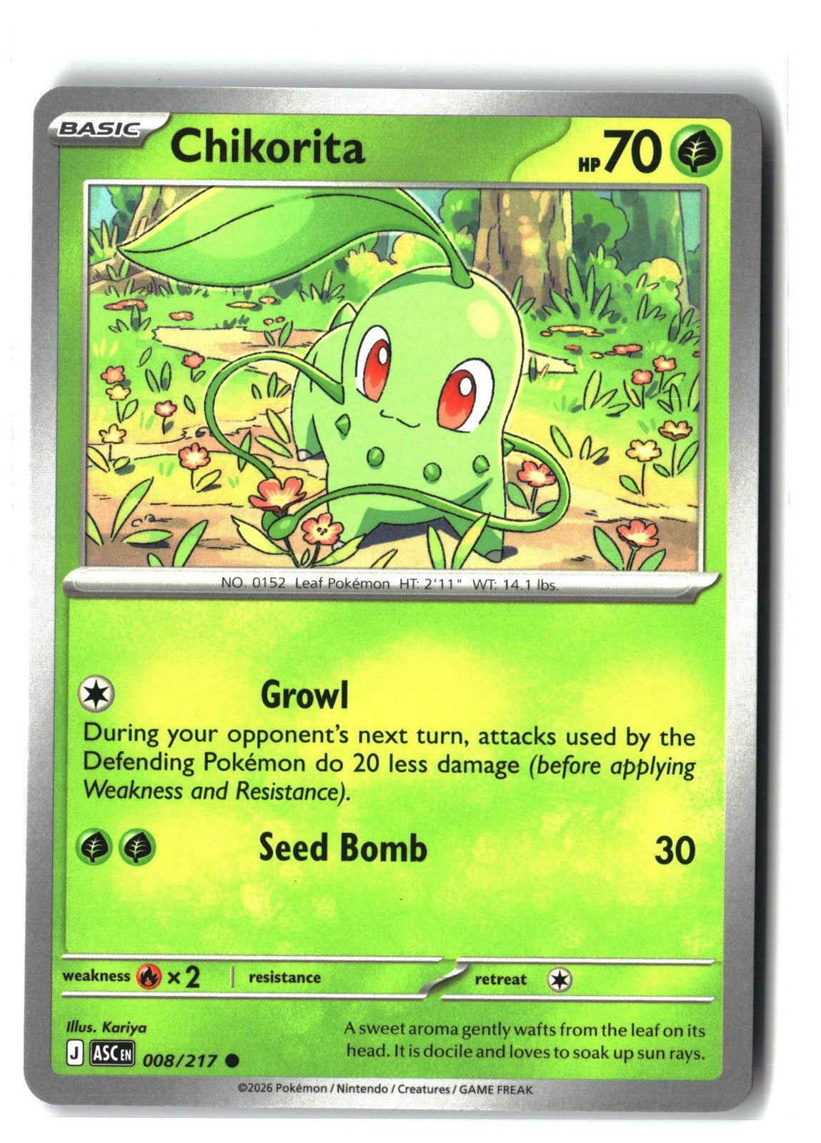 Chikorita (ME: Ascended Heroes 008/217) NM
