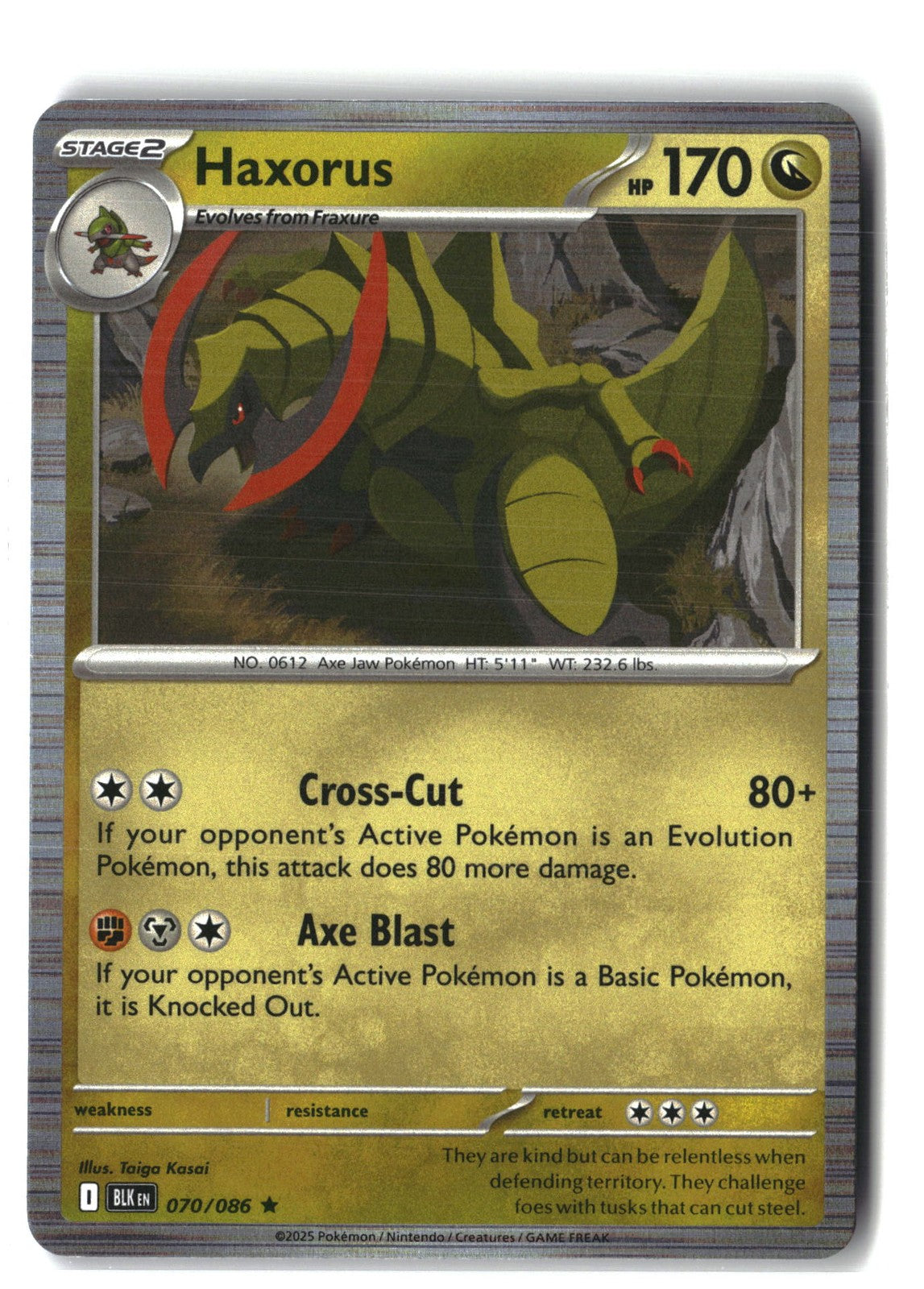 Haxorus Holofoil NM (SV: Black Bolt 070/086)