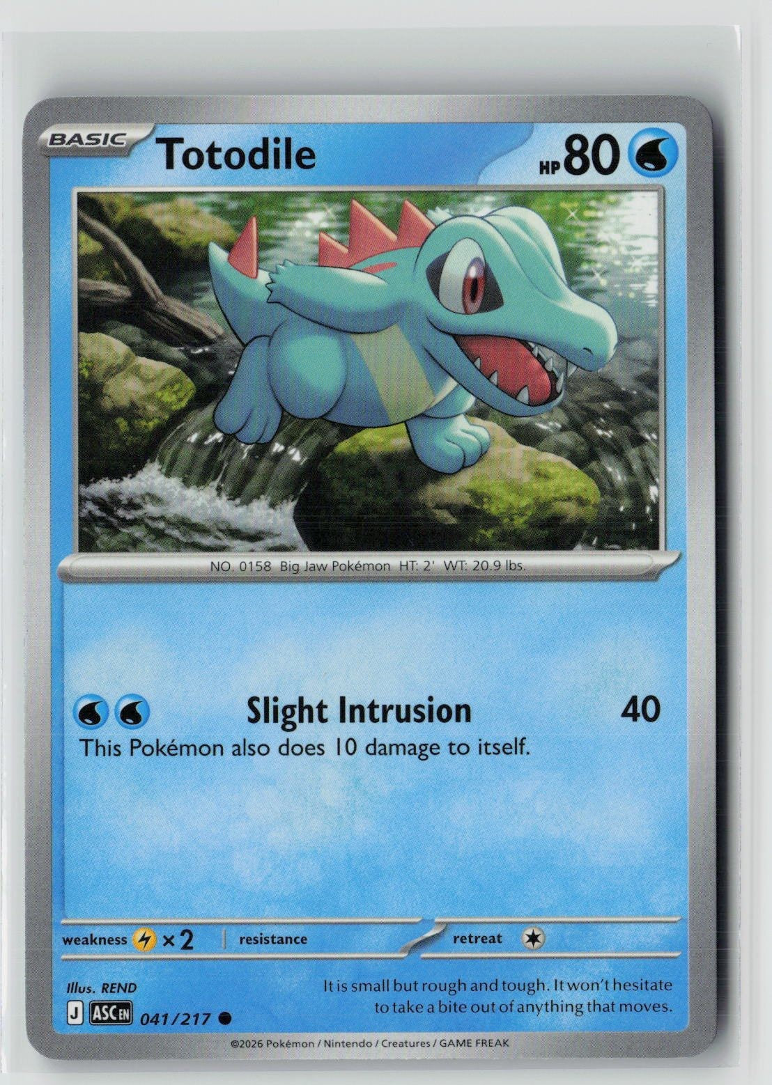Totodile (ME: Ascended Heroes 041/217) NM
