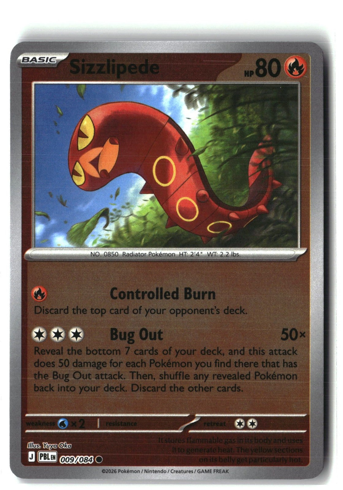 Sizzlipede Reverse Holofoil NM (Pitch Black 009/084)