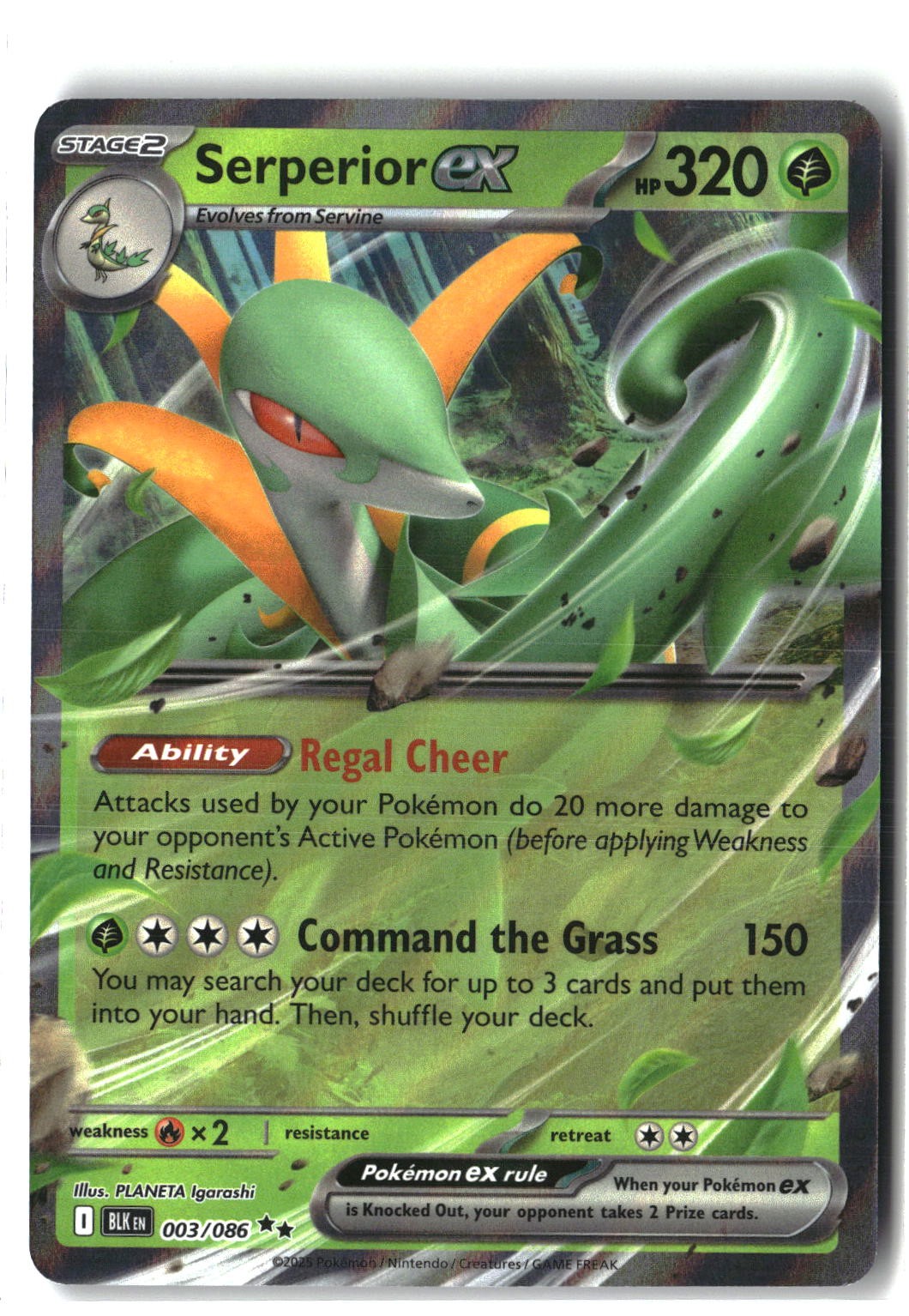 Serperior ex Holofoil NM (SV: Black Bolt 003/086)