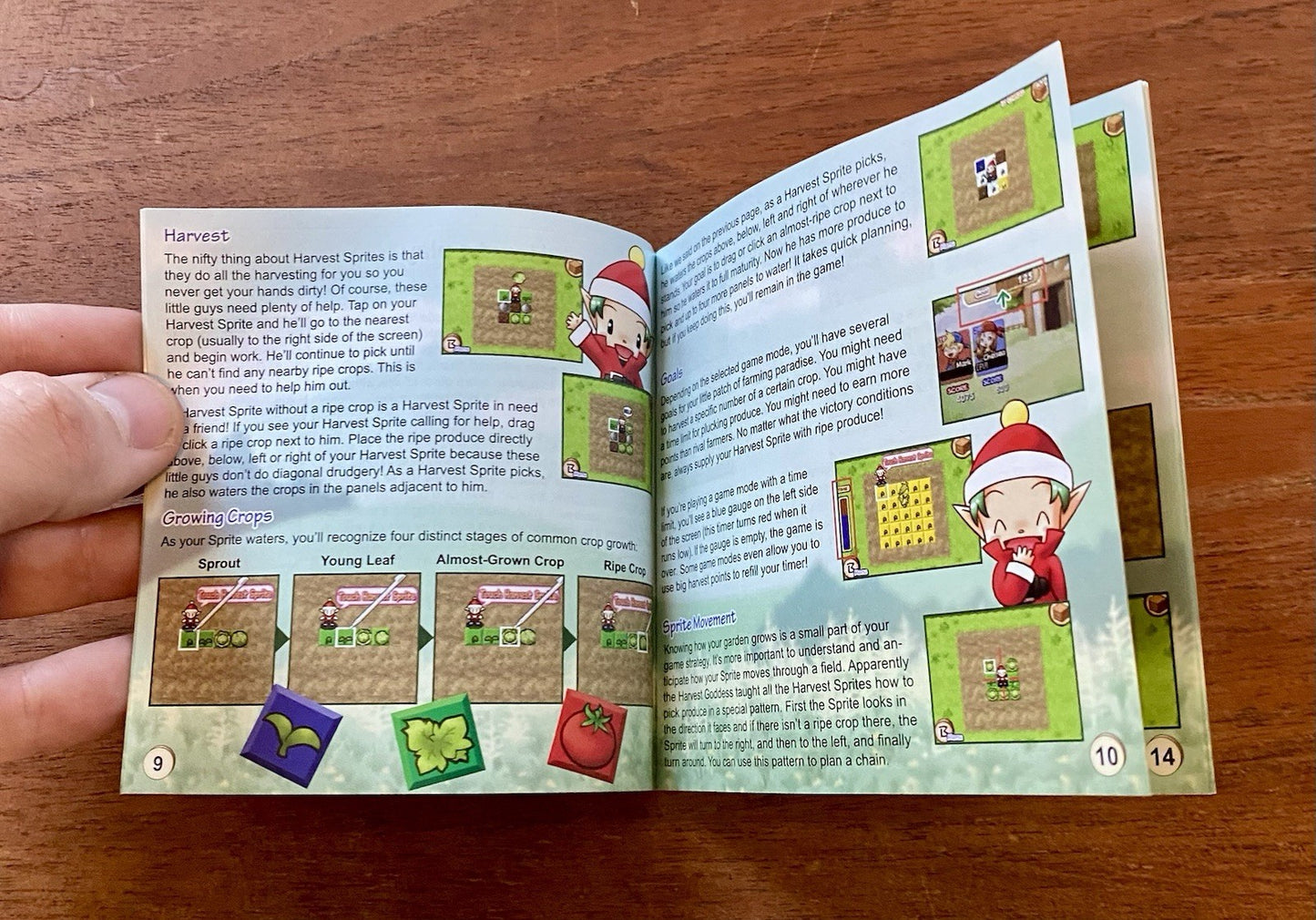 Harvest Moon Frantic Farming (Nintendo DS) Complete CIB W/ Manual & Reg Card