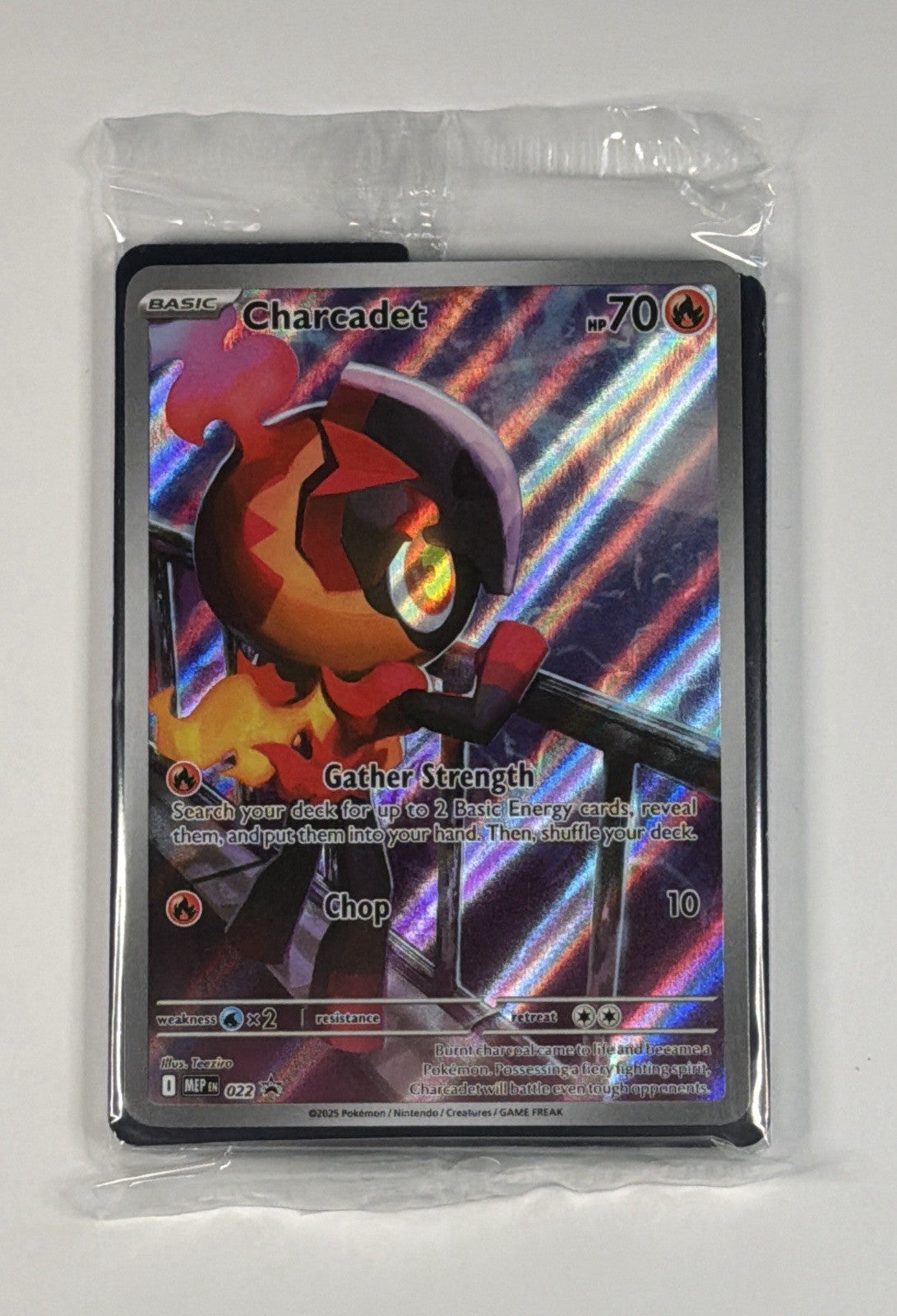 Pokémon Charcadet 22 Black Star Promo Sealed Phantasmal Flames SEALED New