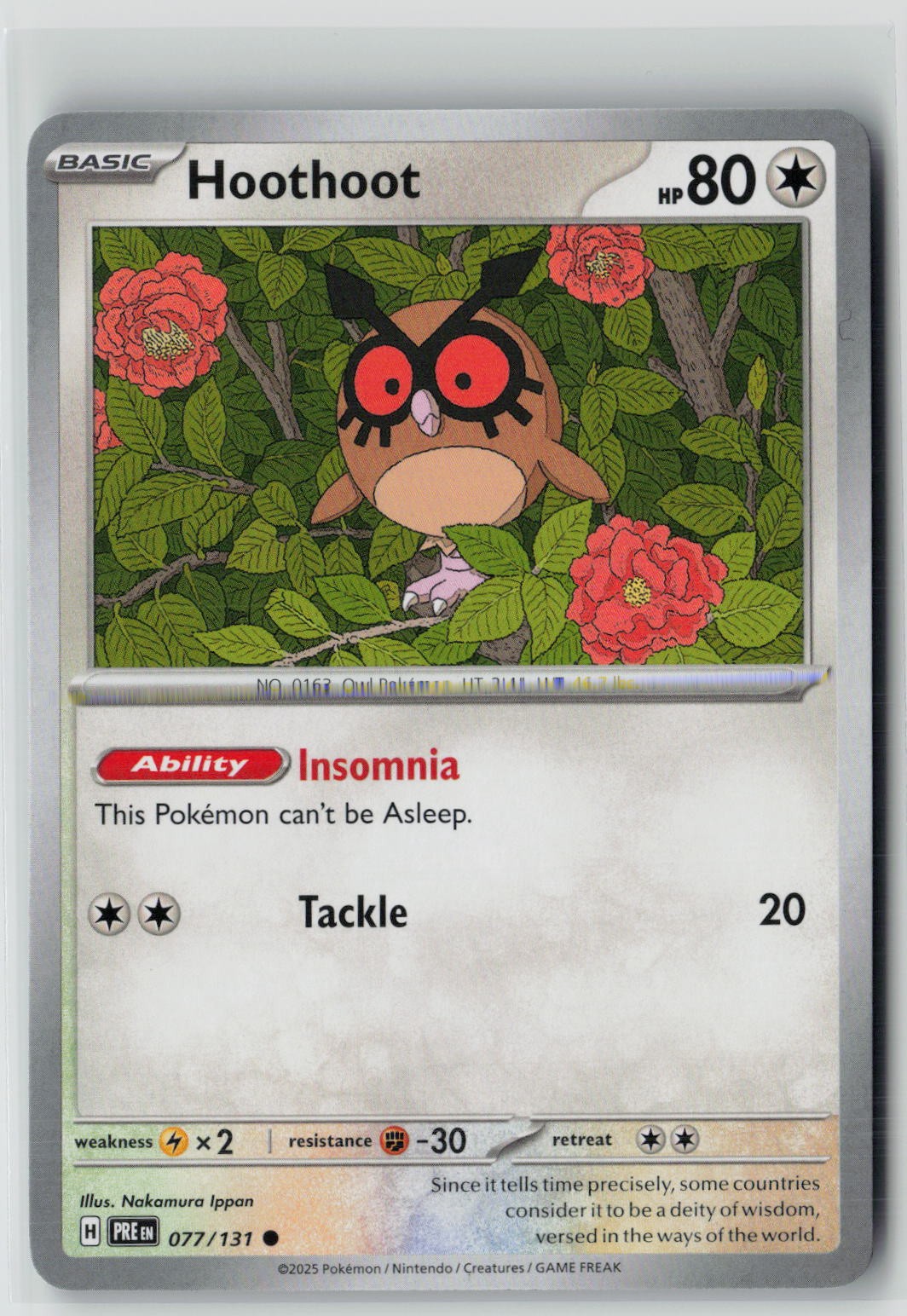 Hoothoot (SV: Prismatic Evolutions 077/131) NM