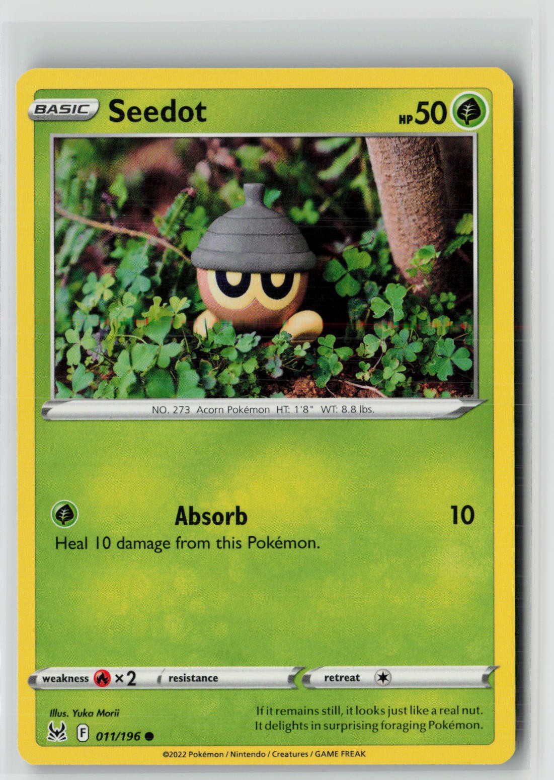 Seedot (SWSH11: Lost Origin 011/196) NM