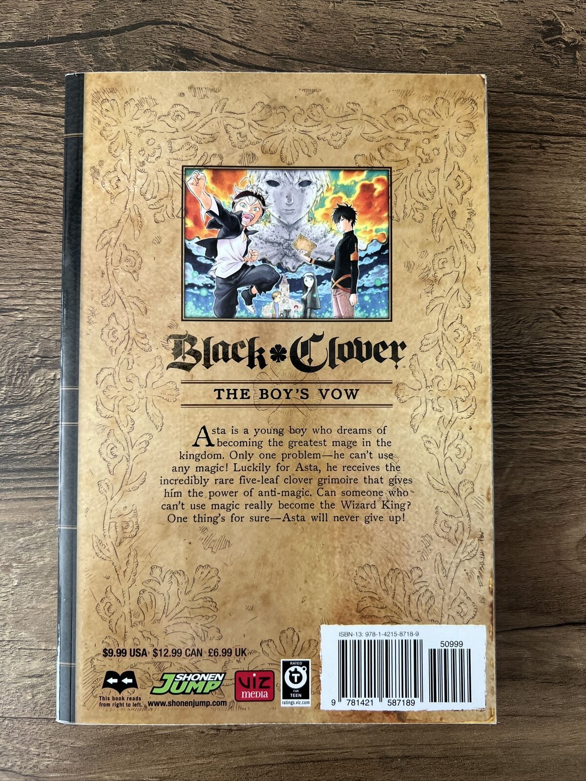 Black Clover, Vol. 1 (Volume 1): The Boy's Vow