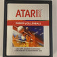 Real Sports Volleyball (Atari 2600, 1982) Silver Label Cart And Manual, Tested